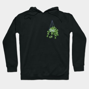 Hoya Polyneura Hoodie